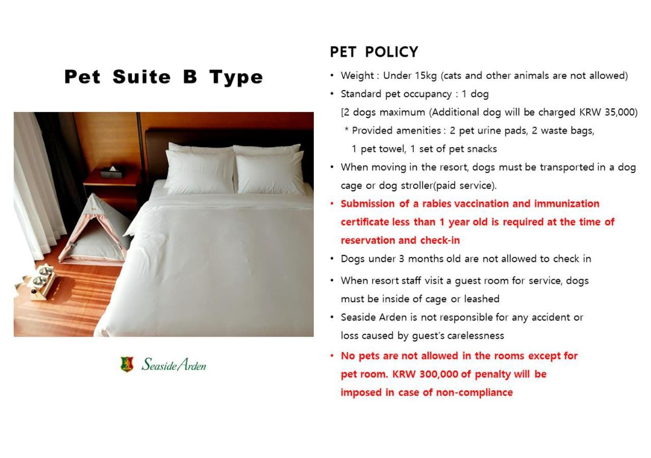 Seaside Arden Hotel Seogwipo Ngoại thất bức ảnh